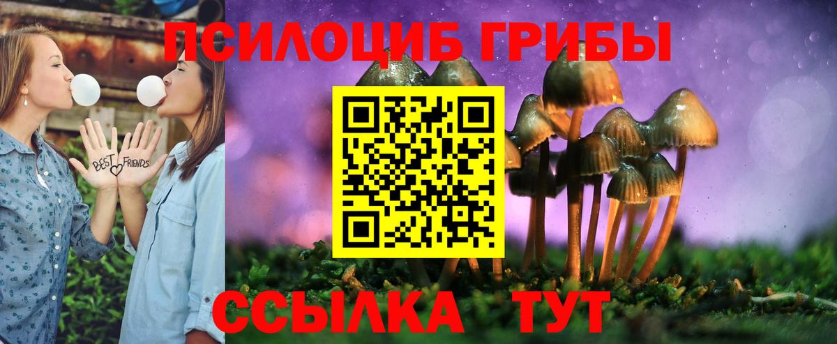 Галлюциногенные грибы мухоморы  Вход с VPN  Славгород  Галлюциногенные грибы Psilocybine cubensis 